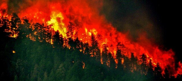 Wildfire: recycled sunlight or fuel for climate change?