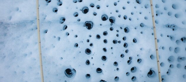 Microbes on ice: Climate amplifiers?