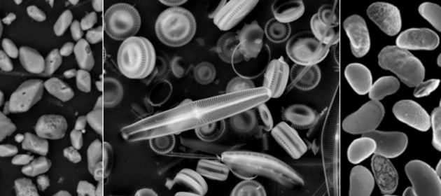 Oxygen isotopes and lakes