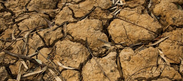 Desertification: land degradation under a changing climate