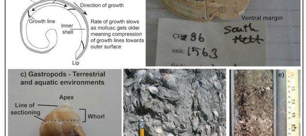 Snail shells provide detailed records of environmental change