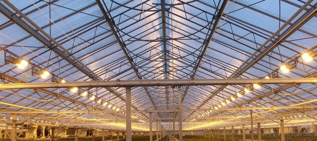 The greenhouse effect and its role in the Earth’s climate