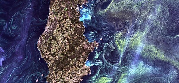 Oceans and climate change: ocean chemistry