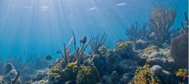Oceans and climate change: Key facts