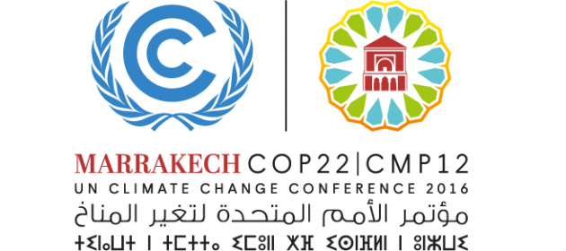 COP22: Action COP